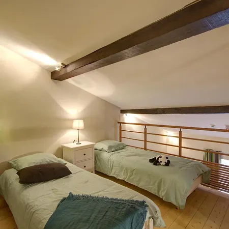 度假居 Historique Entre Lyon Et Saint-etienne Avec Wi-fi, Jardin, Equipements Bebe Et Proche Tennis - Fr-1-496-275